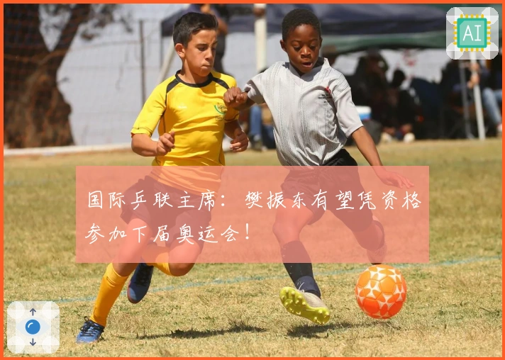 国际乒联主席：樊振东有望凭资格参加下届奥运会！