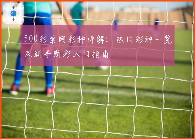 500彩票网彩种详解:热门彩种一览及新手购彩入门指南