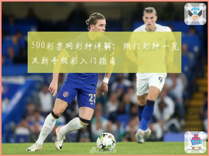 500彩票网彩种详解：热门彩种一览及新手购彩入门指南